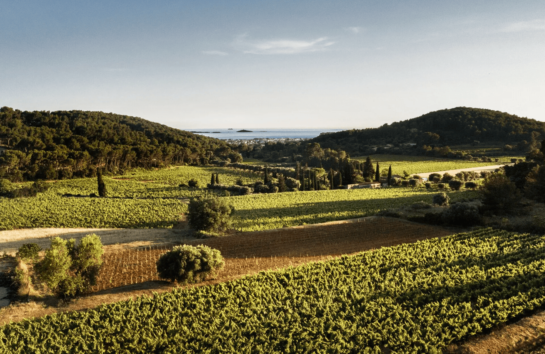 la storia di Domaine di Terrebrune