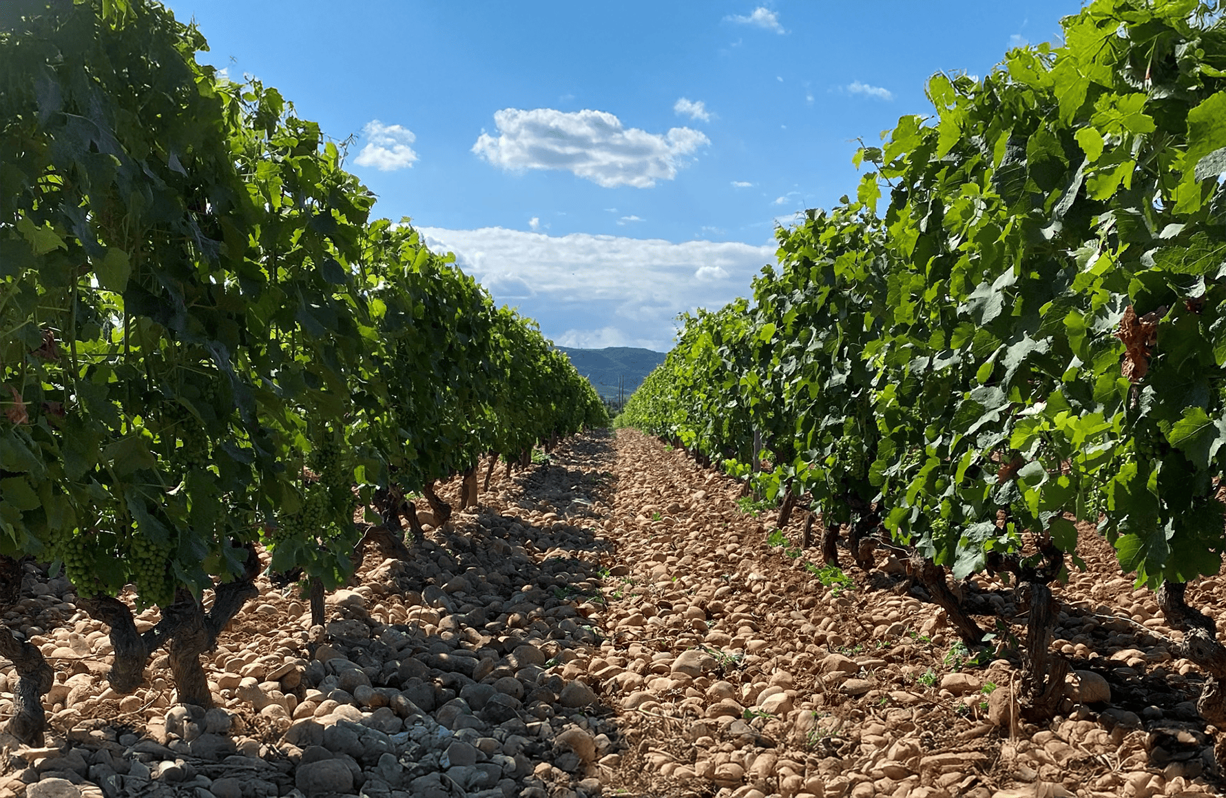 la storia di Domaine Montature alte