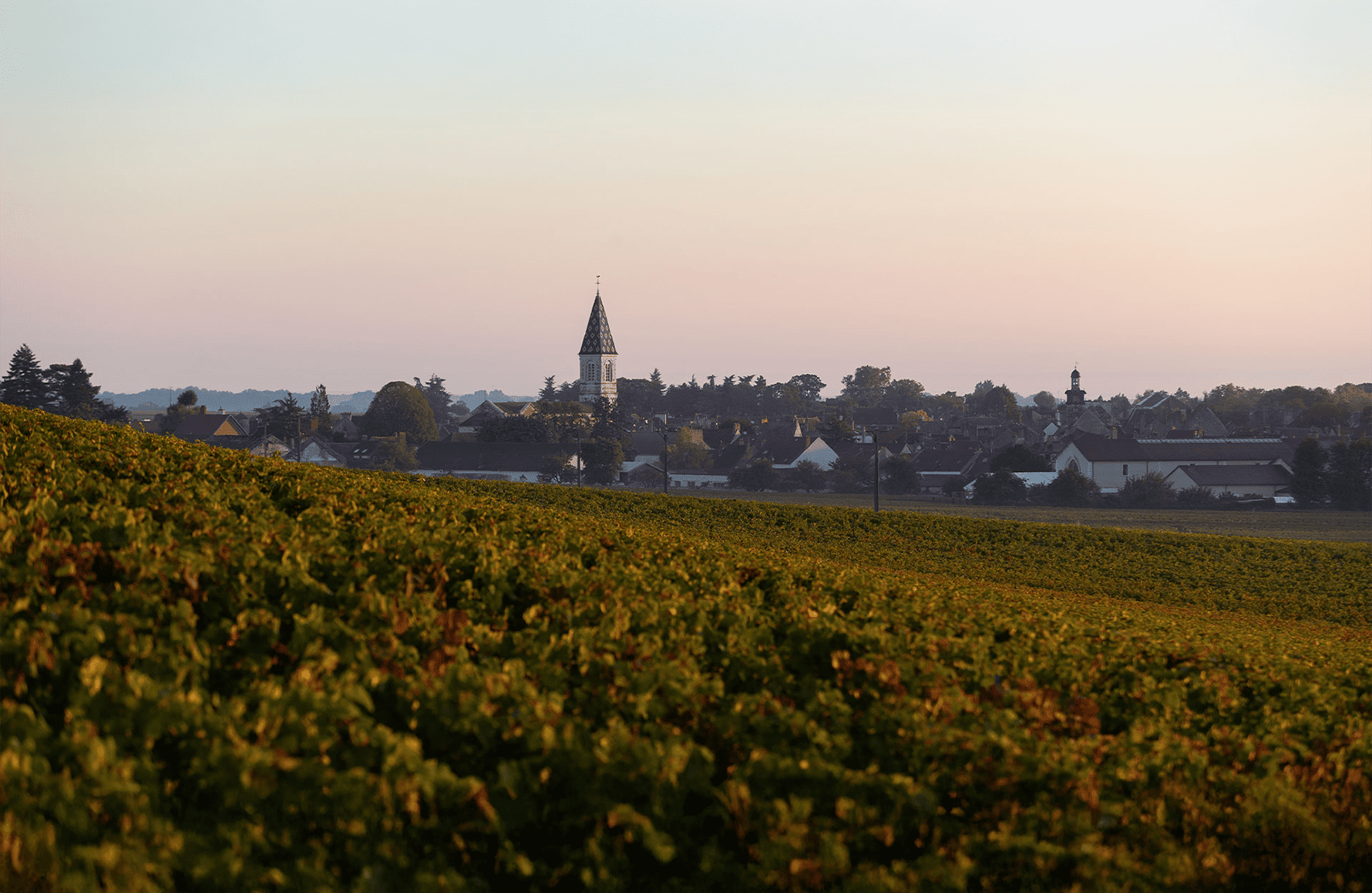 la storia di Domaine Henri Gouges