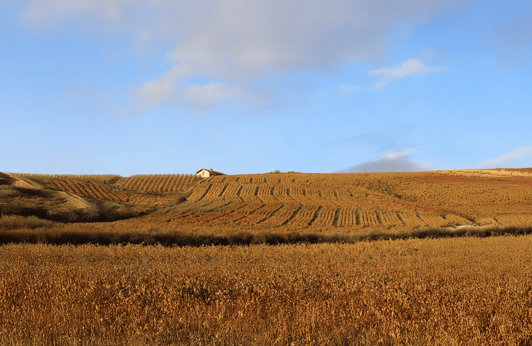 la storia di Domaine Hoppenot