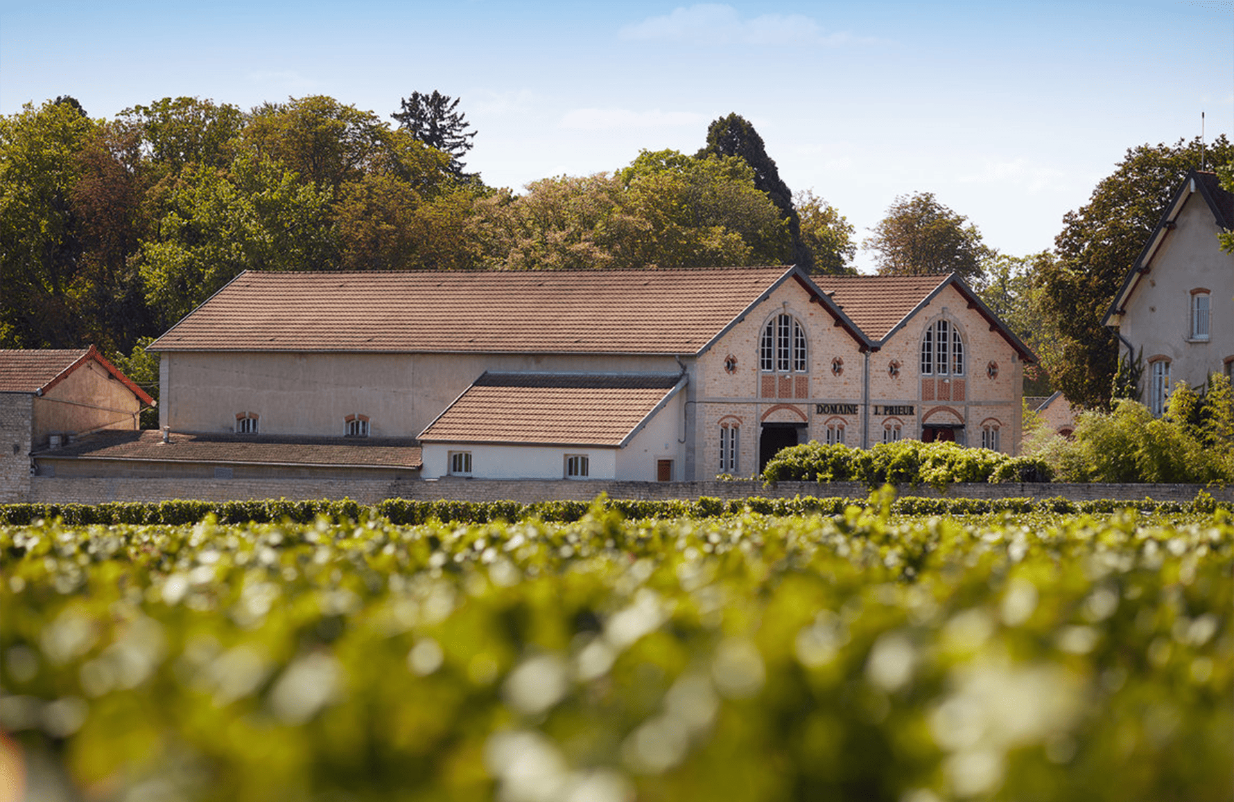 l’histoire du Domaine Jacques Prieur