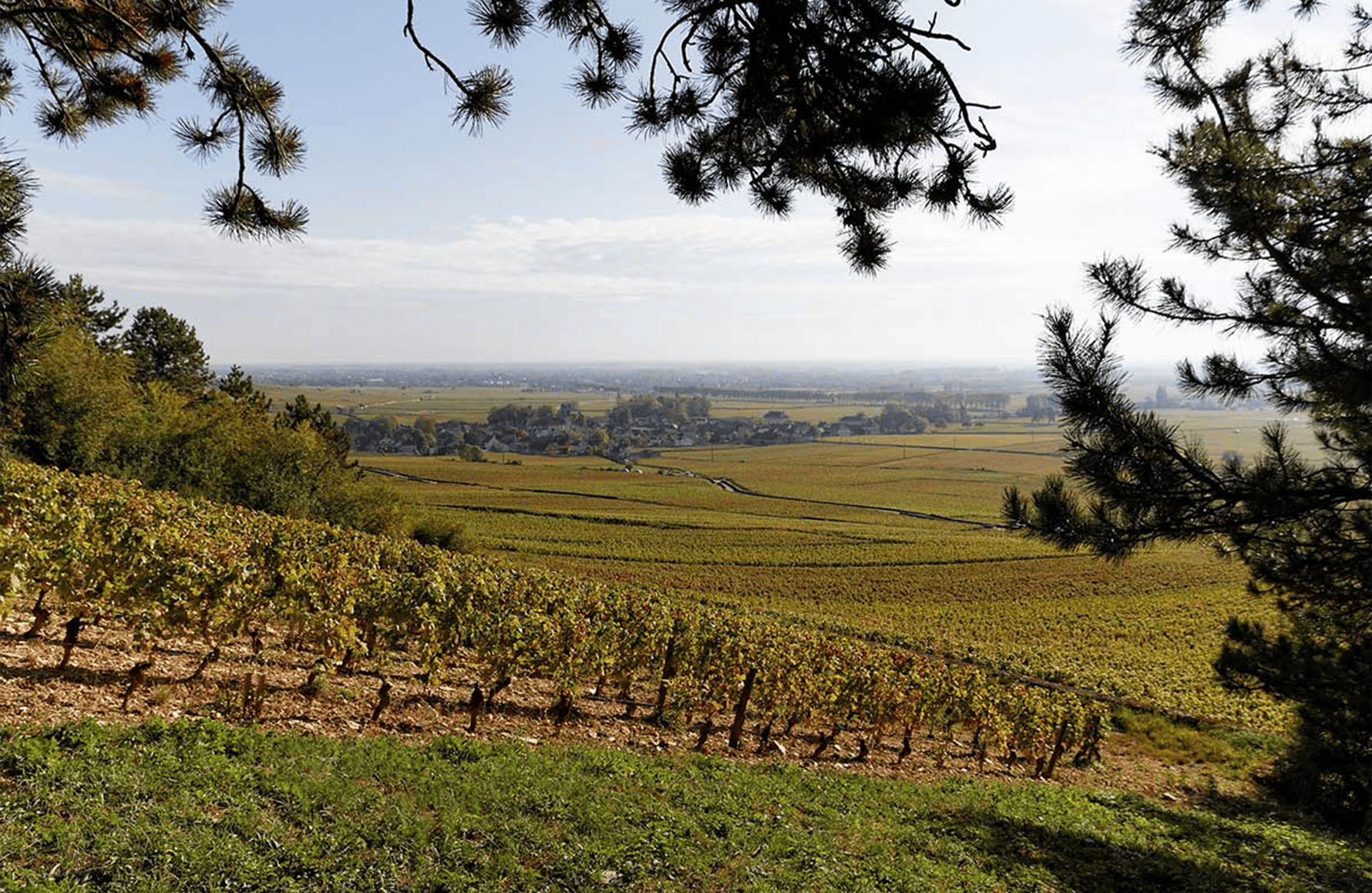 l’histoire du Domaine Joseph Voillot