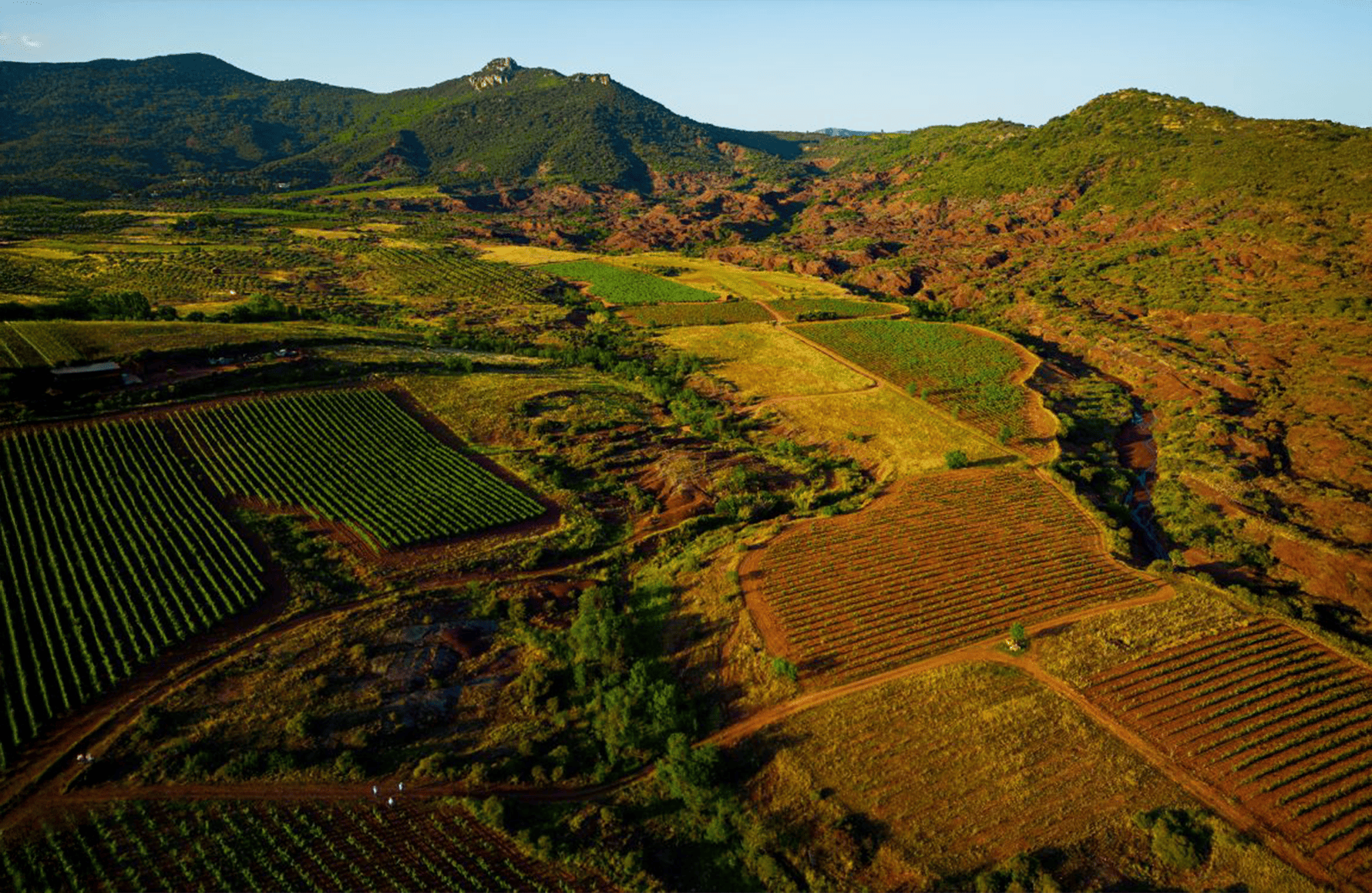 la storia di Domaine IL Clos delle serre