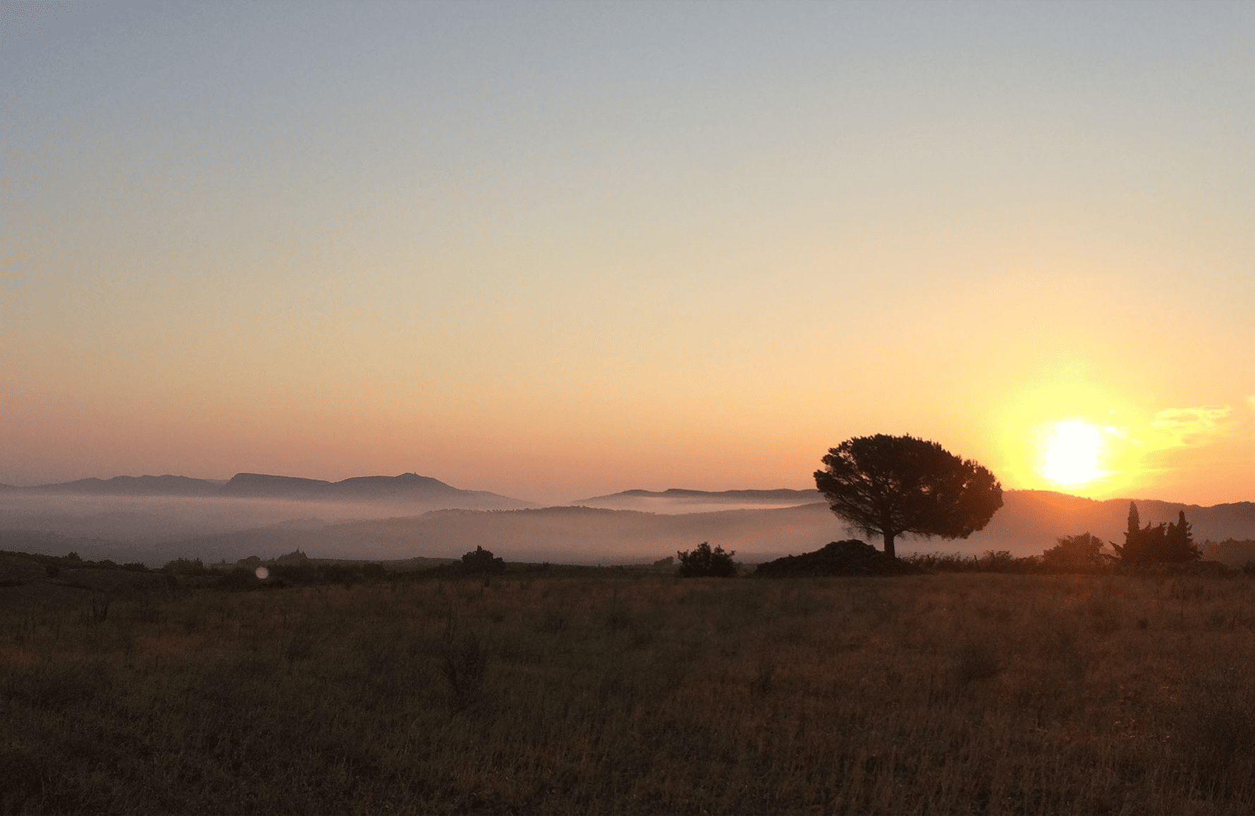 la storia di Domaine La Roccia degli Angeli