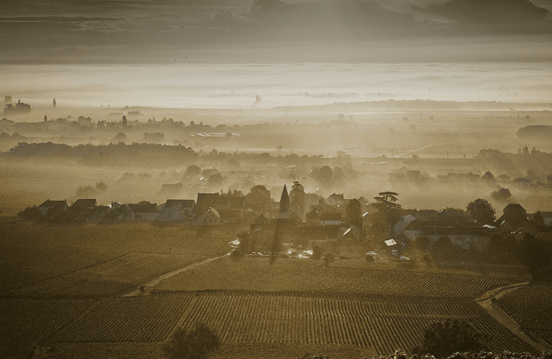 la storia di Domaine Méo-Camuzet