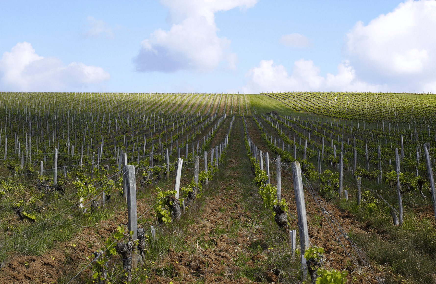 la storia di Domaine Filippo Gilbert