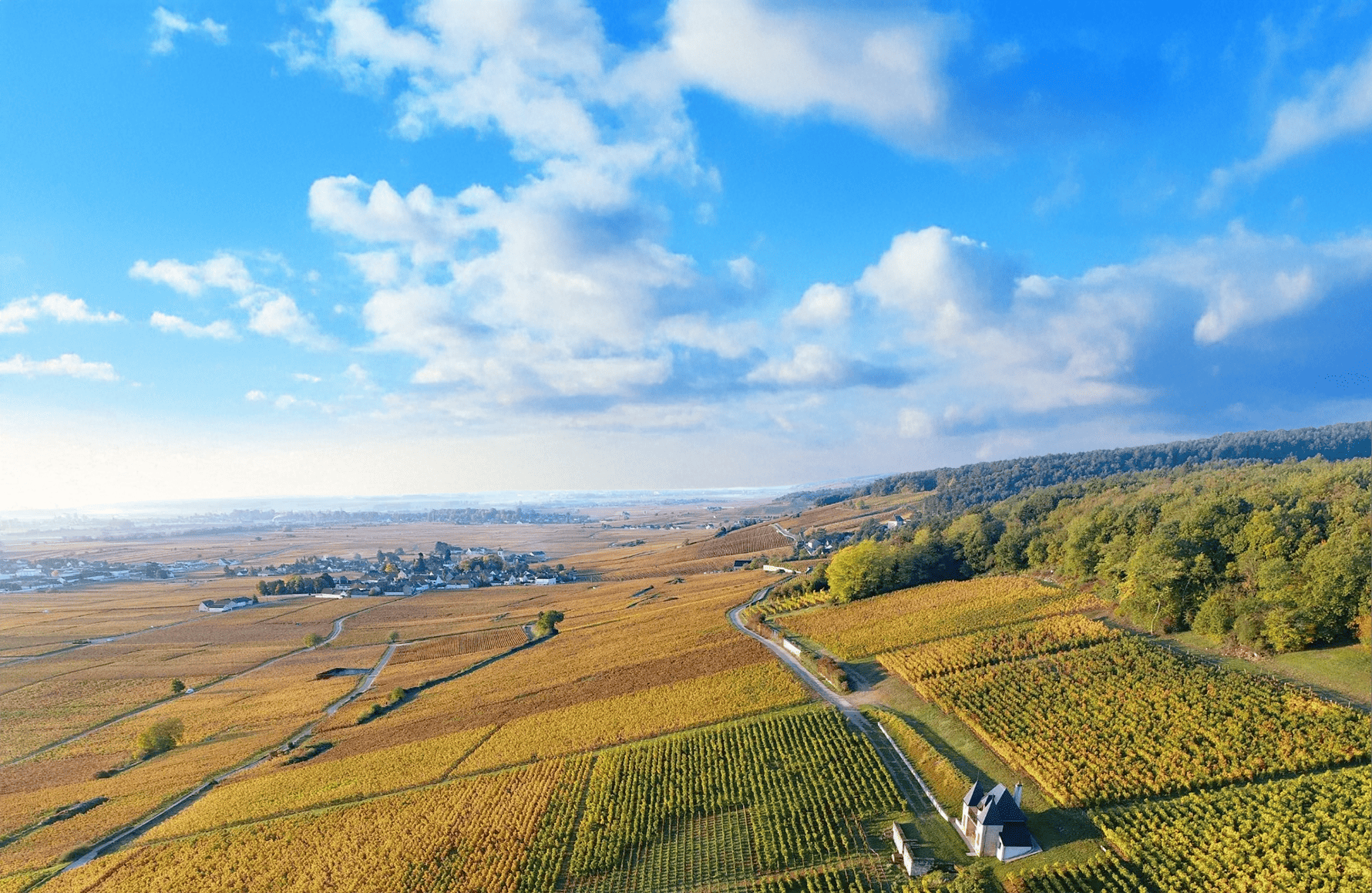 la storia di Domaine Ponsot
