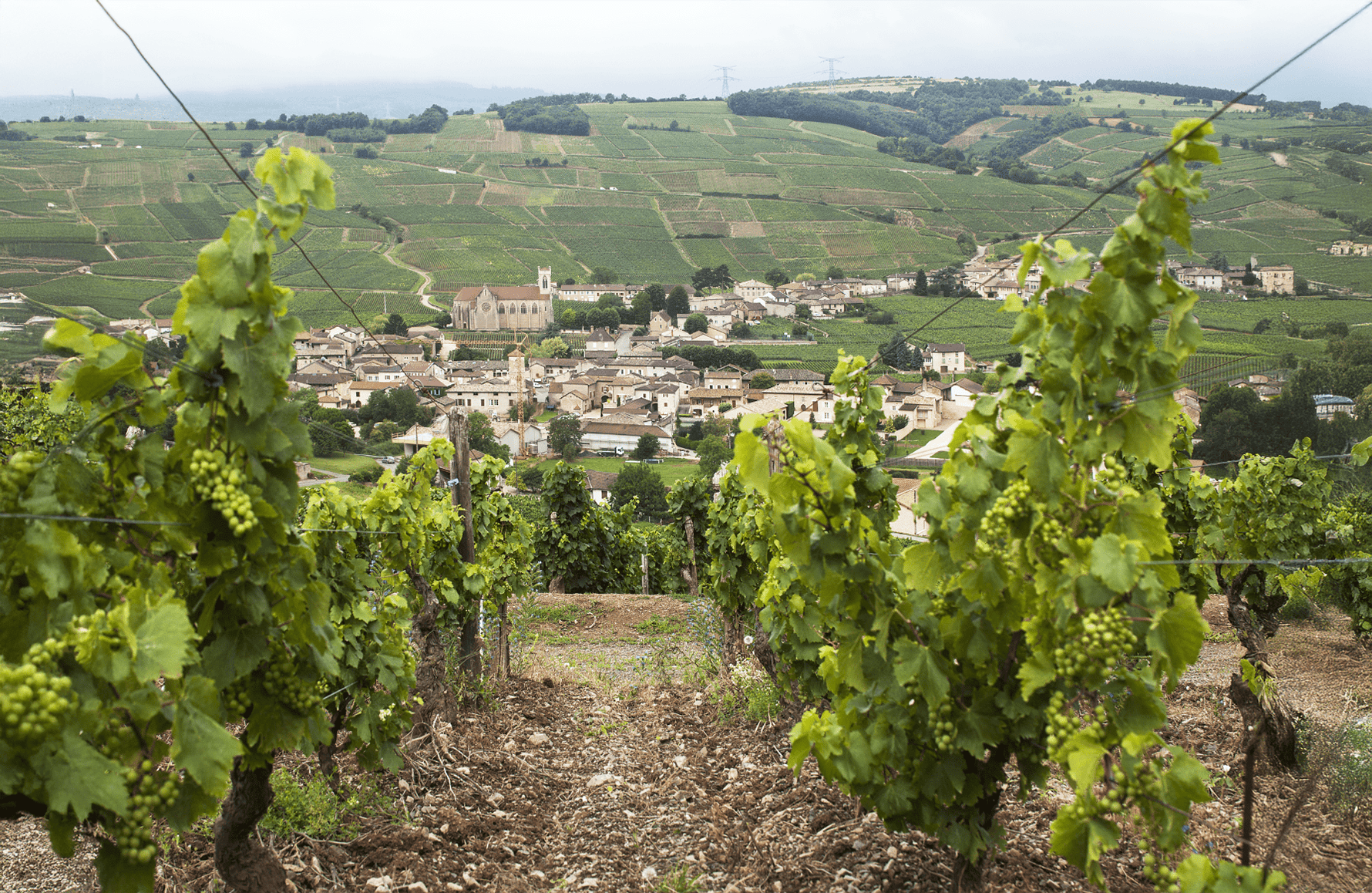 la storia di Domaine Roberto Denogent