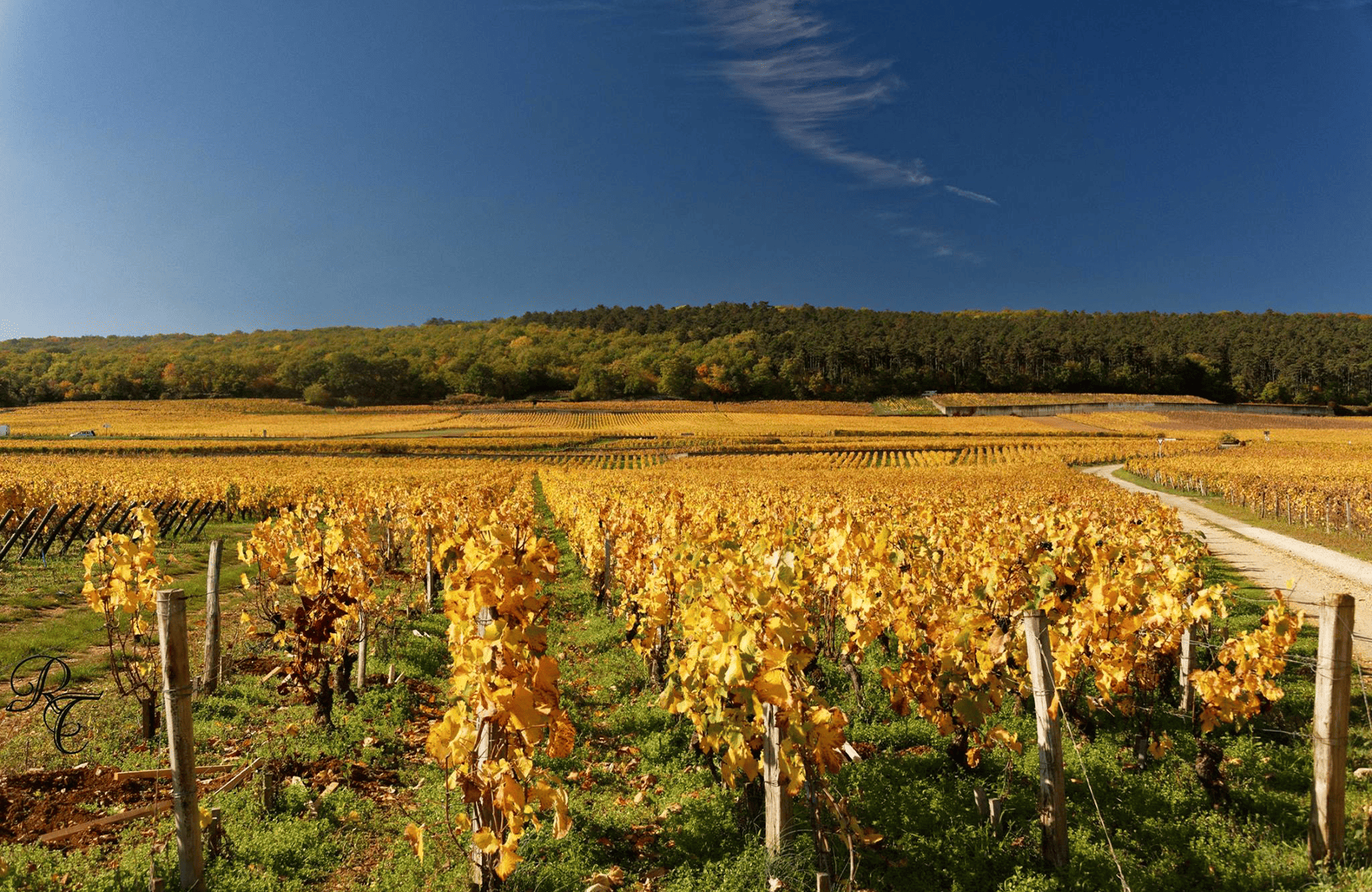 la storia di Domaine Usignolo-Trapet
