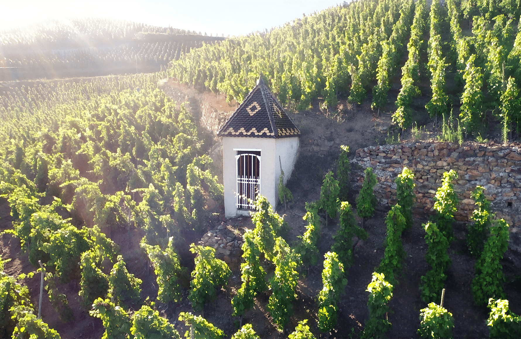 la storia di Domaine Rostaing