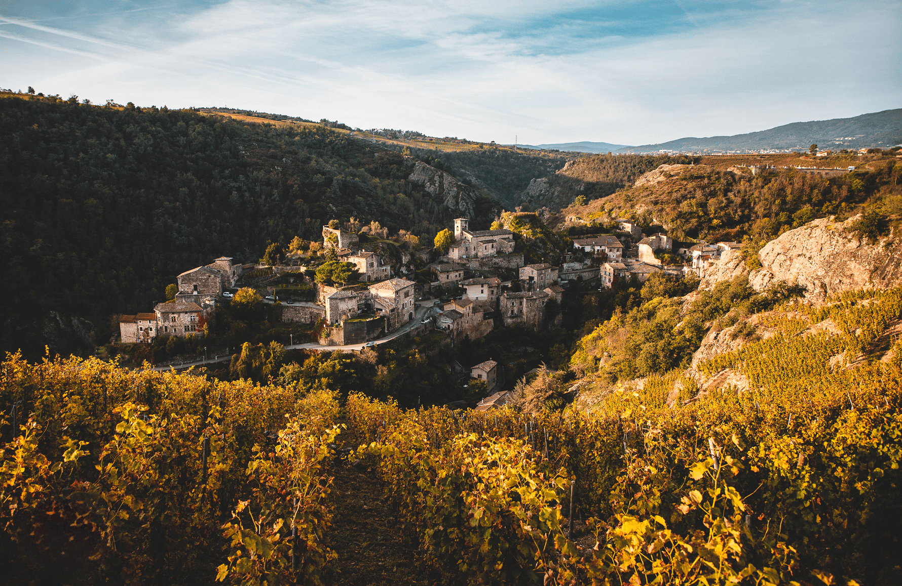 la storia di Domaine Pierre Gaillard