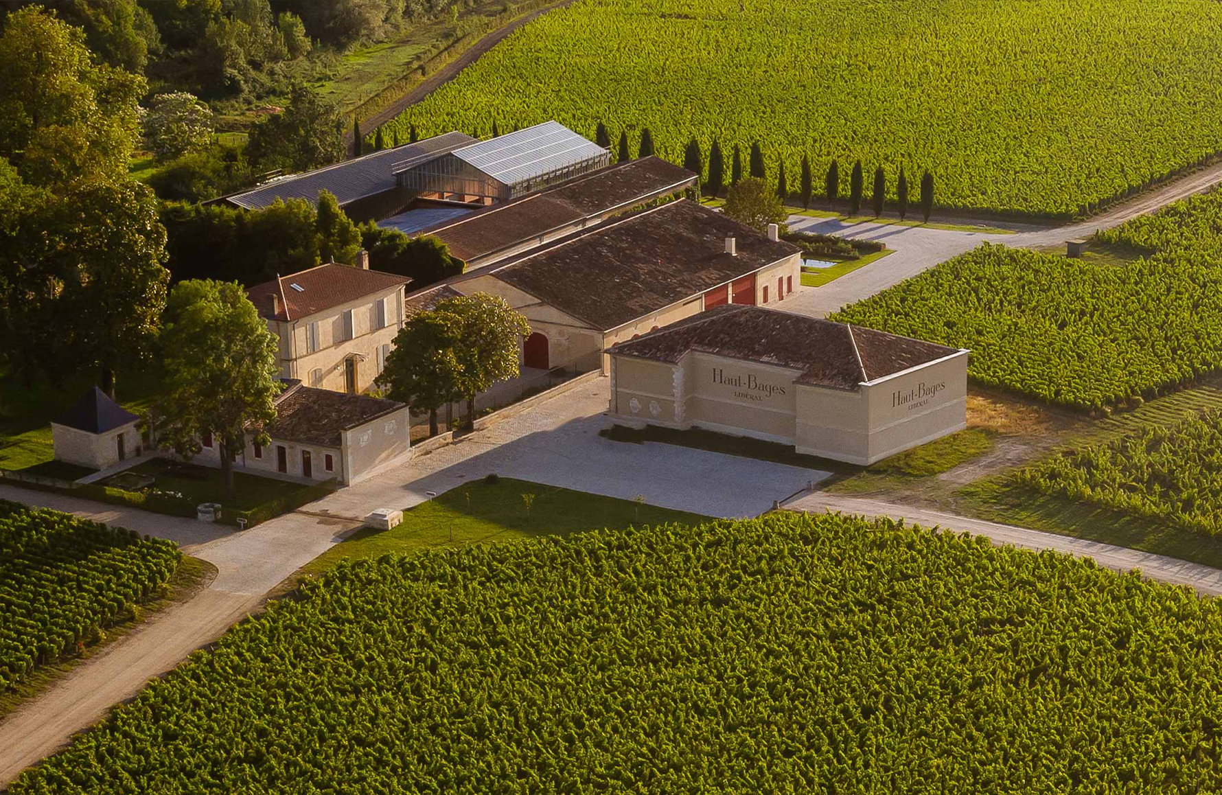 la storia di Château Haut-Bages Libéral