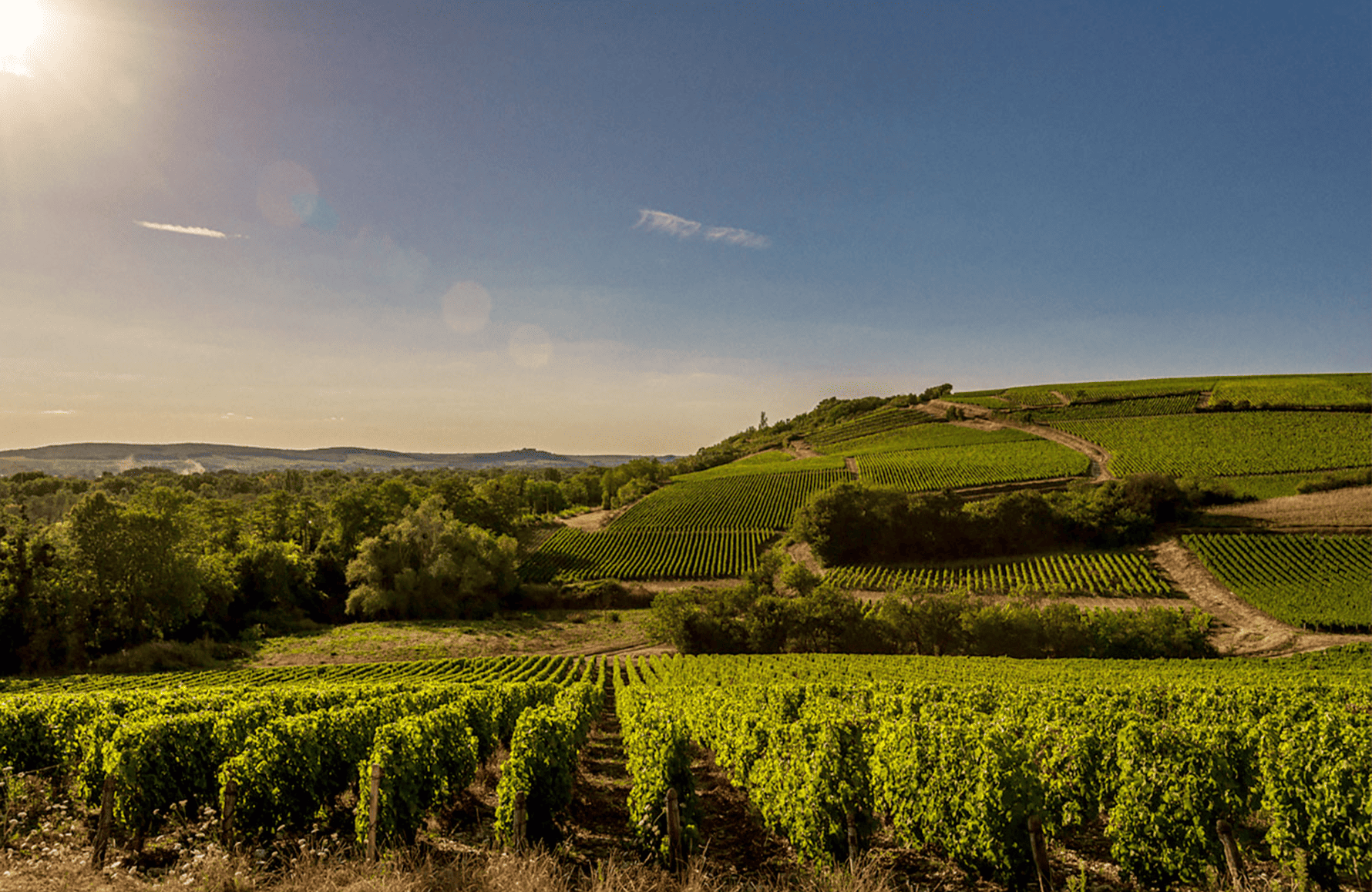 la storia di Domaine Jonathan Didier Pabiot