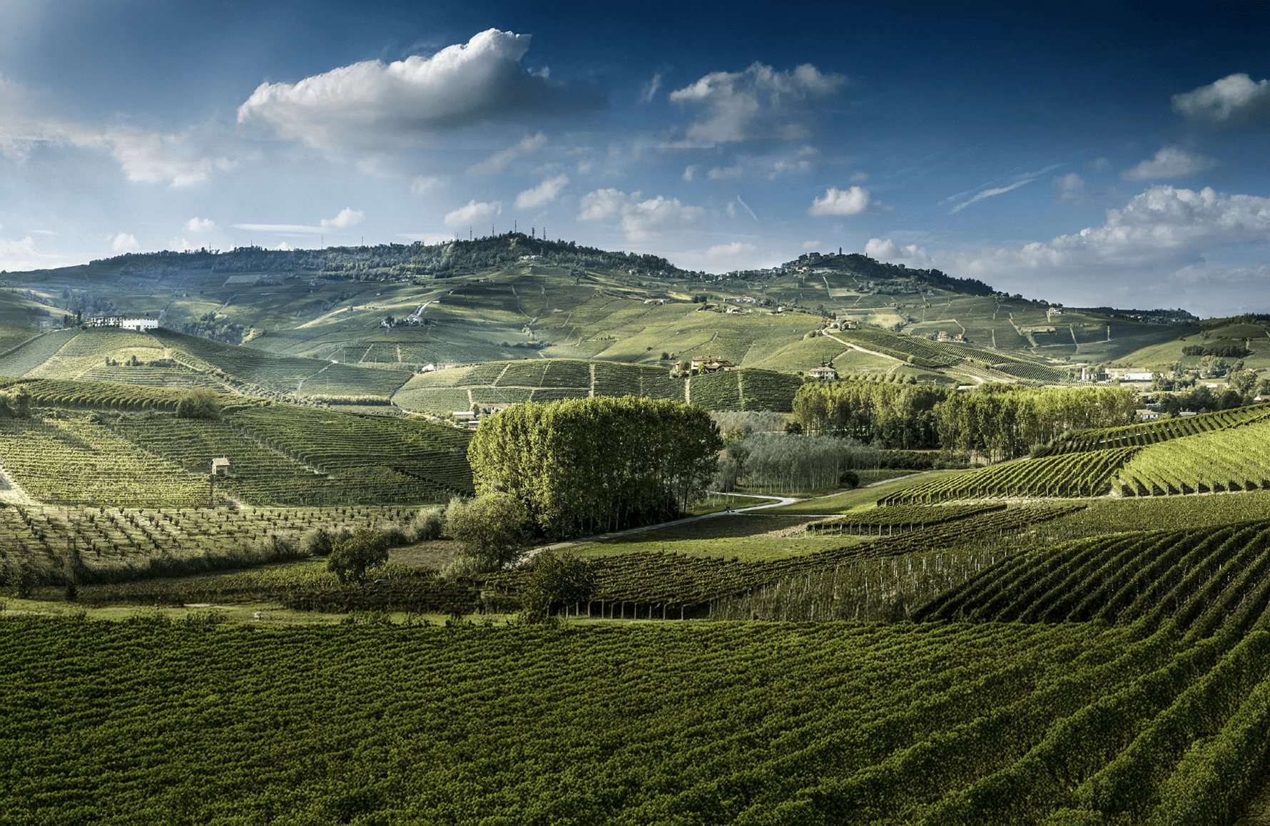 la storia di Luciano Sandrone - Italia