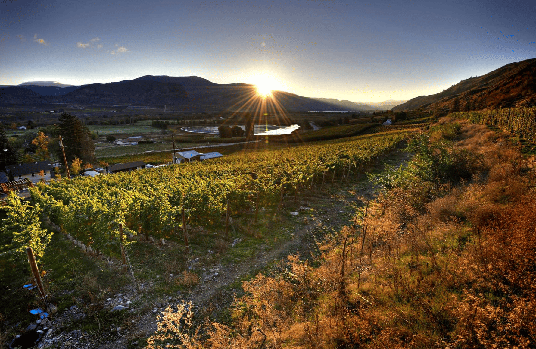 l’histoire du Maverick Wines - Australie