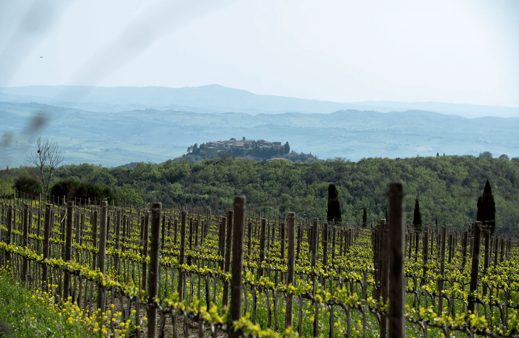 la storia di Poggio Antico - Italia