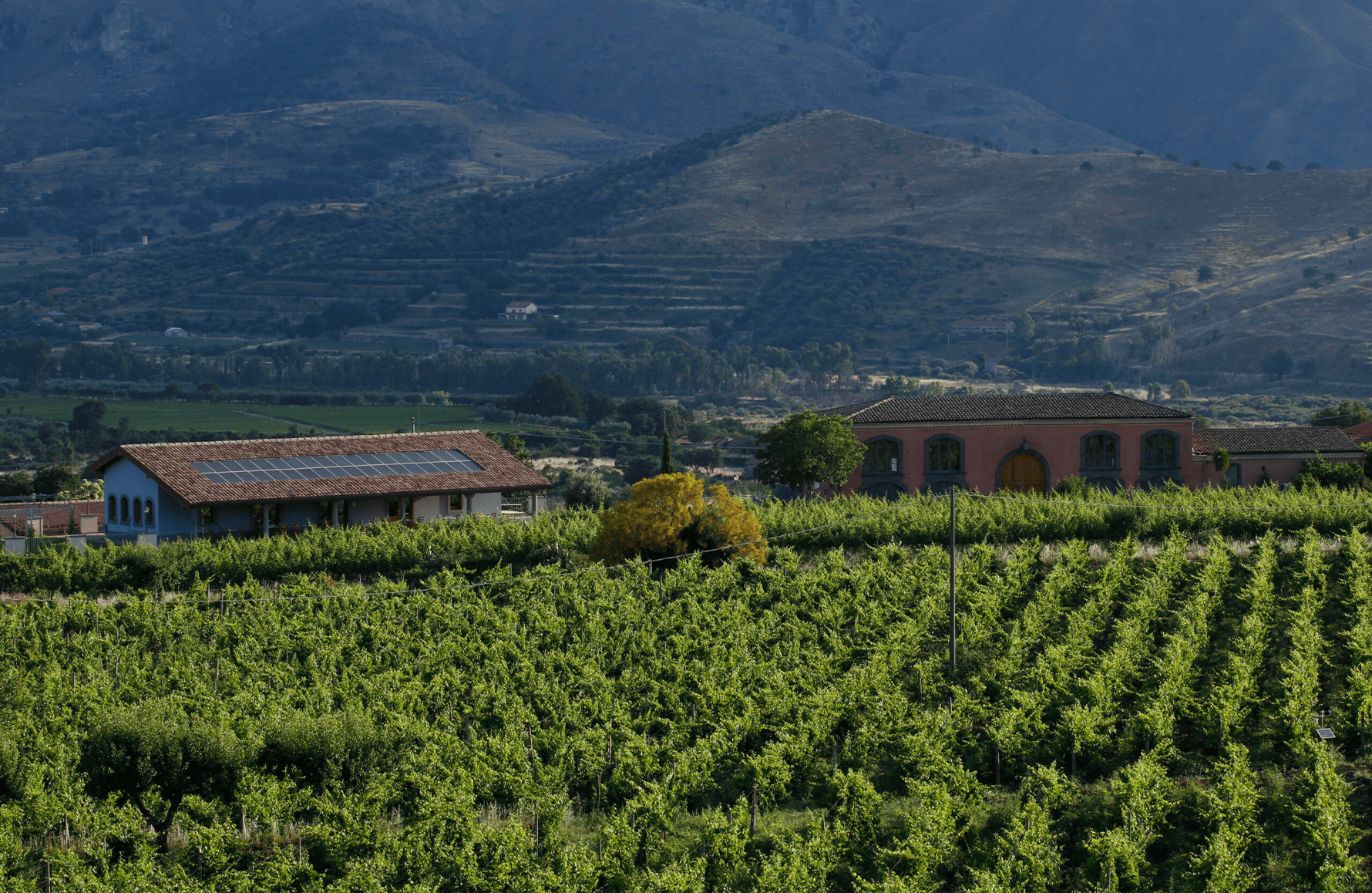 la storia di Tenuta Delle Terre Nere - Italia