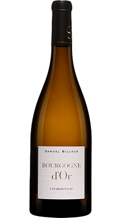 Domaine Samuel Billaud - Bourgogne d'Or 2023 - Bourgogne Blanc